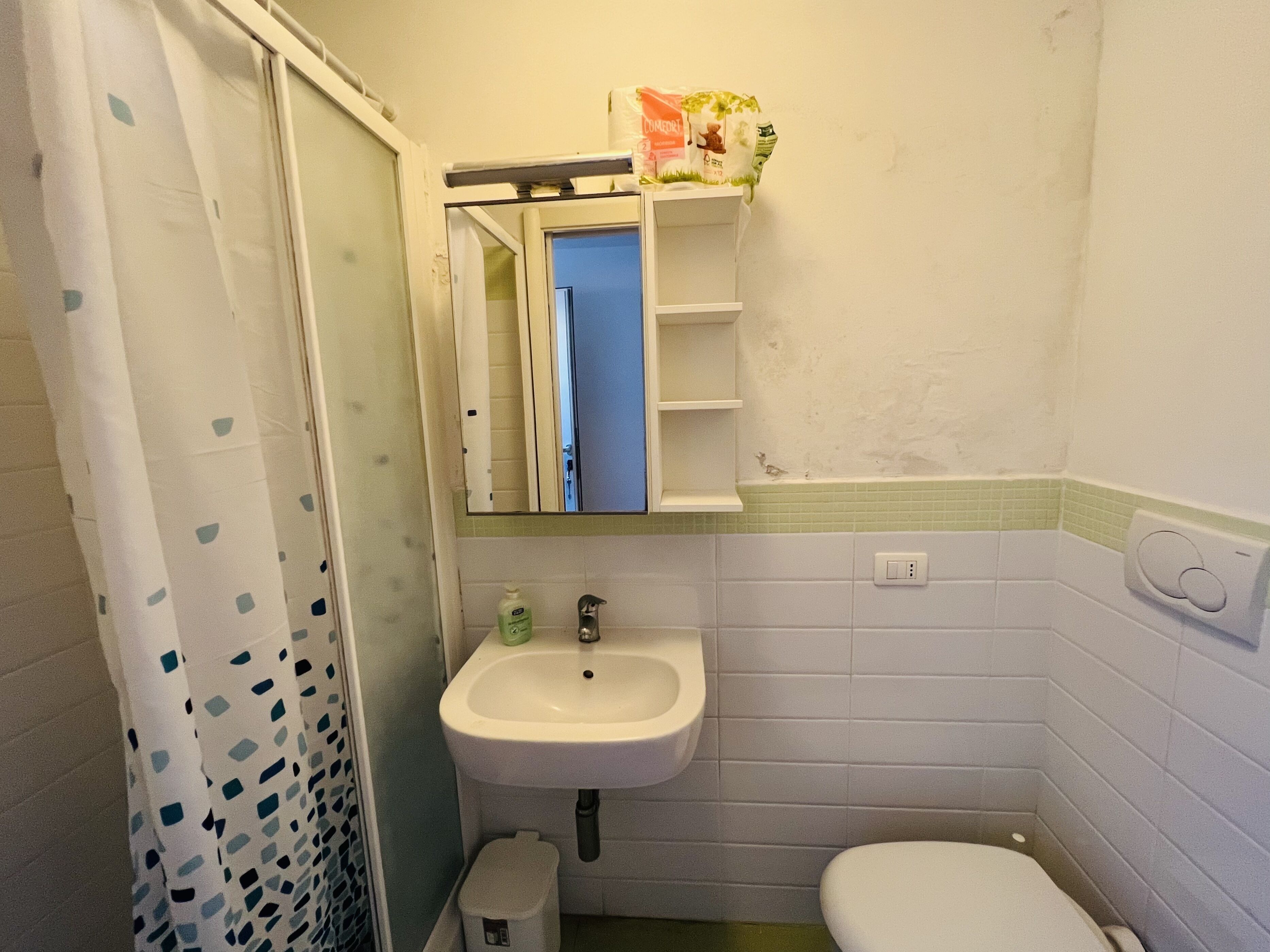 A bathroom with a white sink, a toilet, and a shower area with a patterned curtain.