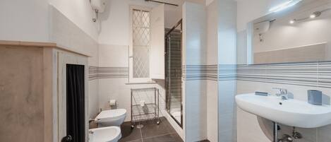 Shower, hair dryer, bidet, towels
