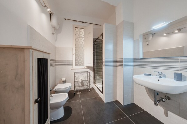 Shower, hair dryer, bidet, towels