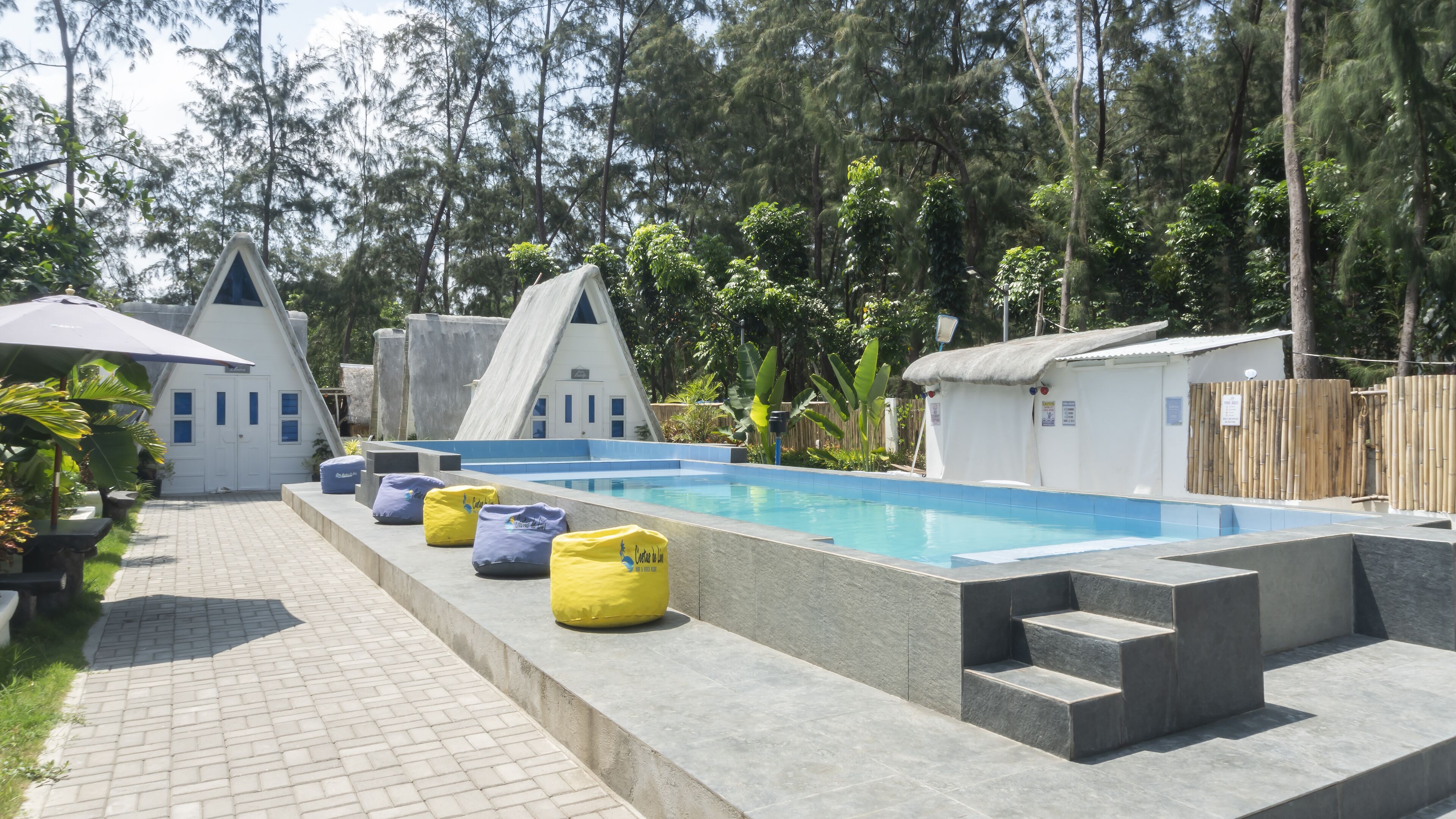 A swimming pool with a concrete deck, surrounded by a bamboo fence and trees.