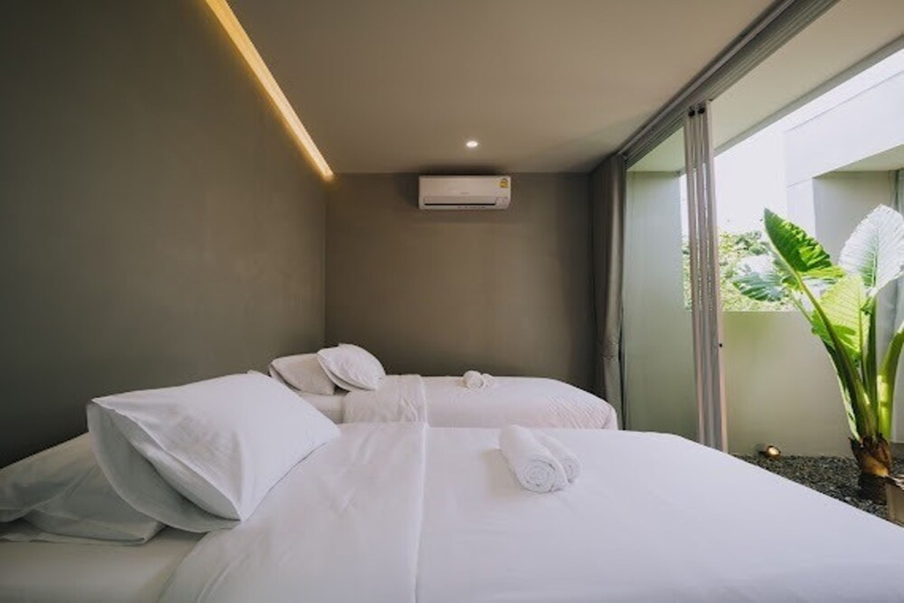 A modern hotel room with two beds, a large window, and a potted plant.