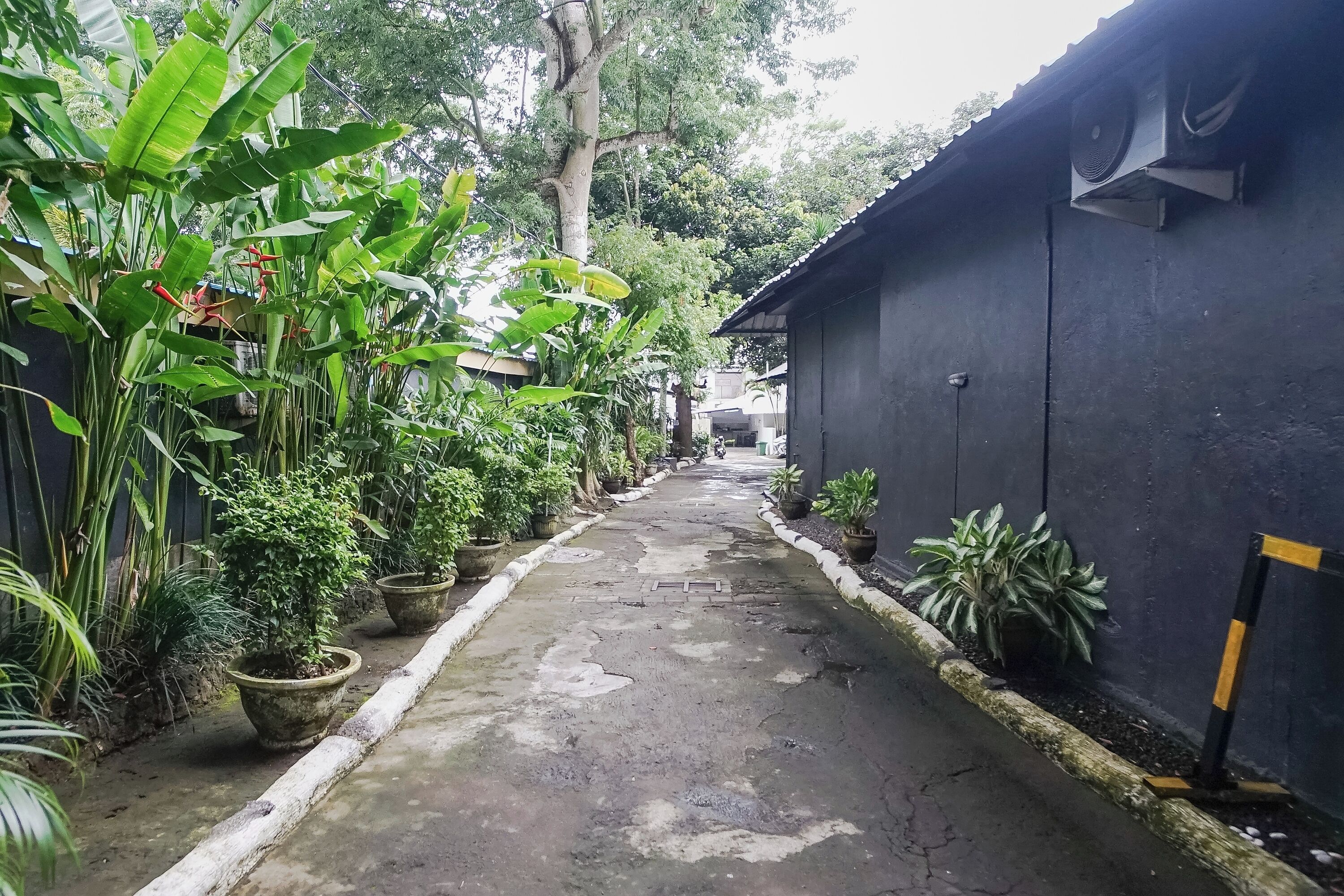 Photo - Kos 168 Jimbaran