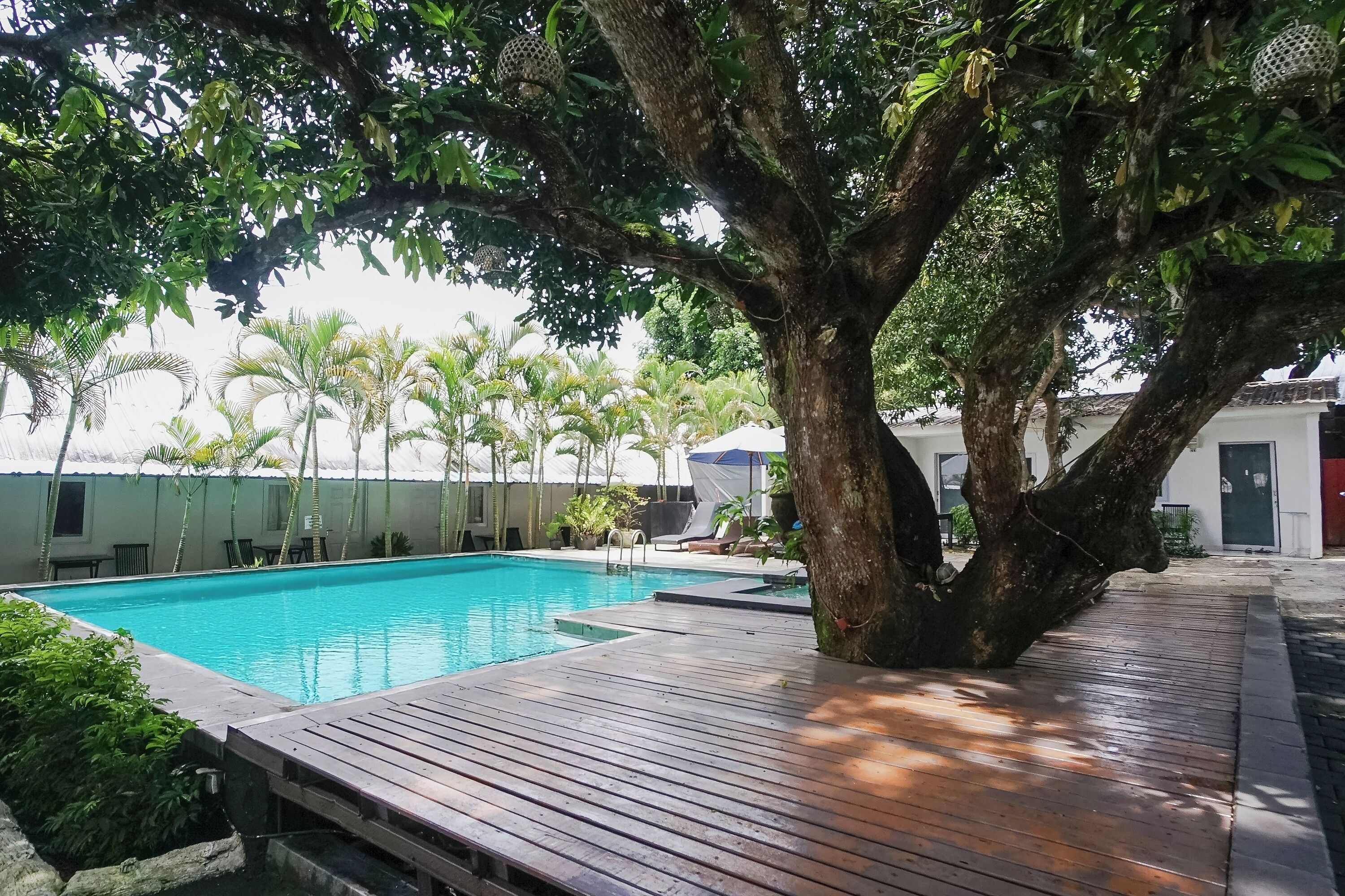 Photo - Kos 168 Jimbaran