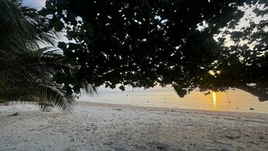 Een strand met een palmboom en een ondergaande zon.