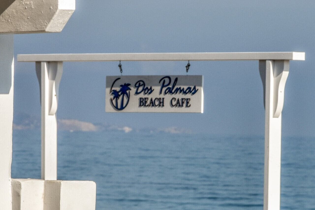 Letrero de un café en la playa, con logotipo de palmera y texto.