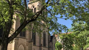 Un bâtiment historique, avec un grand arbre devant, un ciel dégagé et une zone pavée agrémentée de bancs.