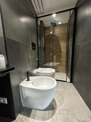 Shower, hair dryer, bidet, towels