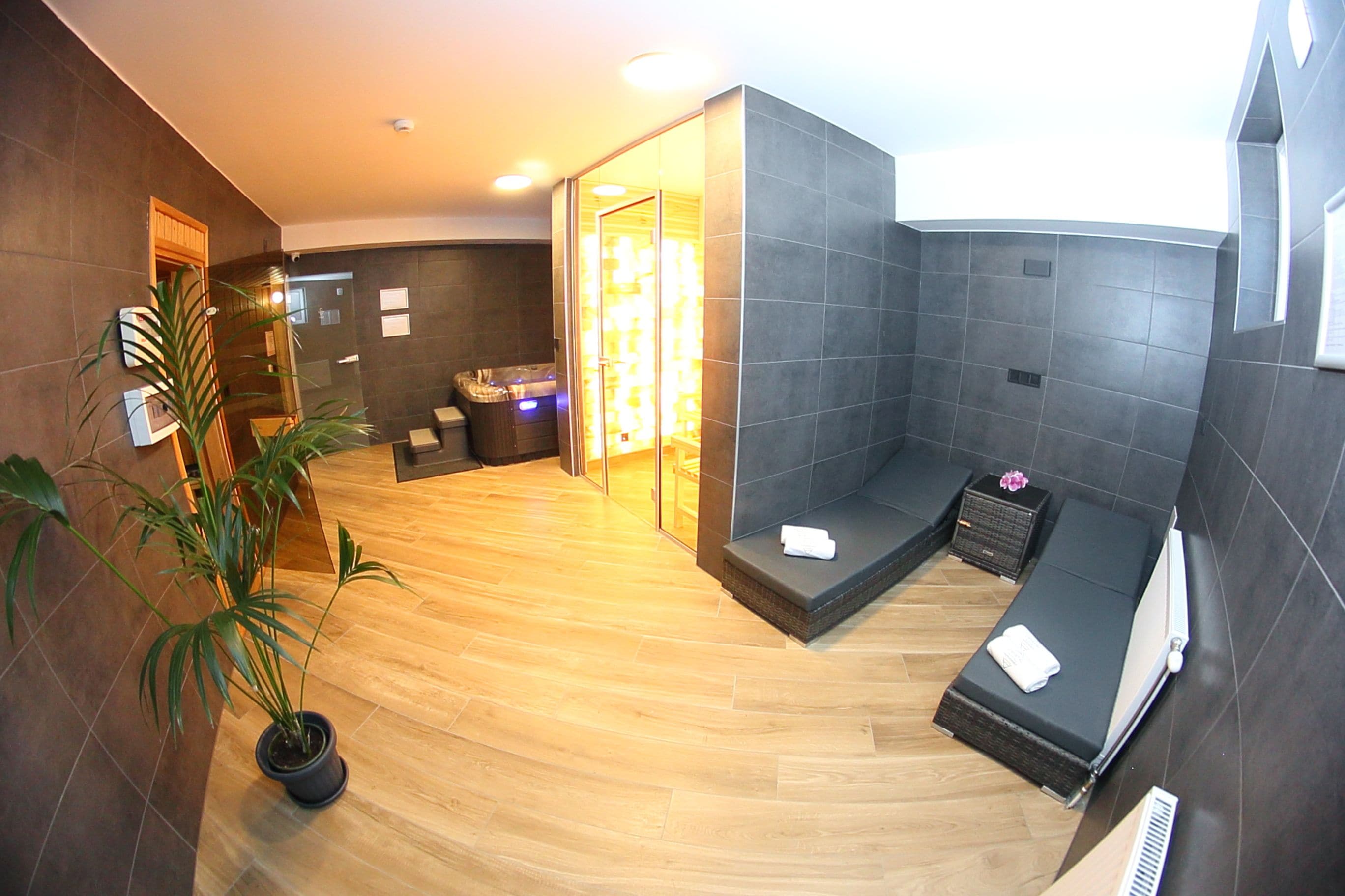 Un spa moderno con piso de madera, una zona de estar con camilla de masaje, una planta pequeña y un panel de vidrio.