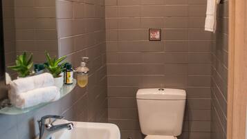 Free toiletries, hair dryer, slippers
