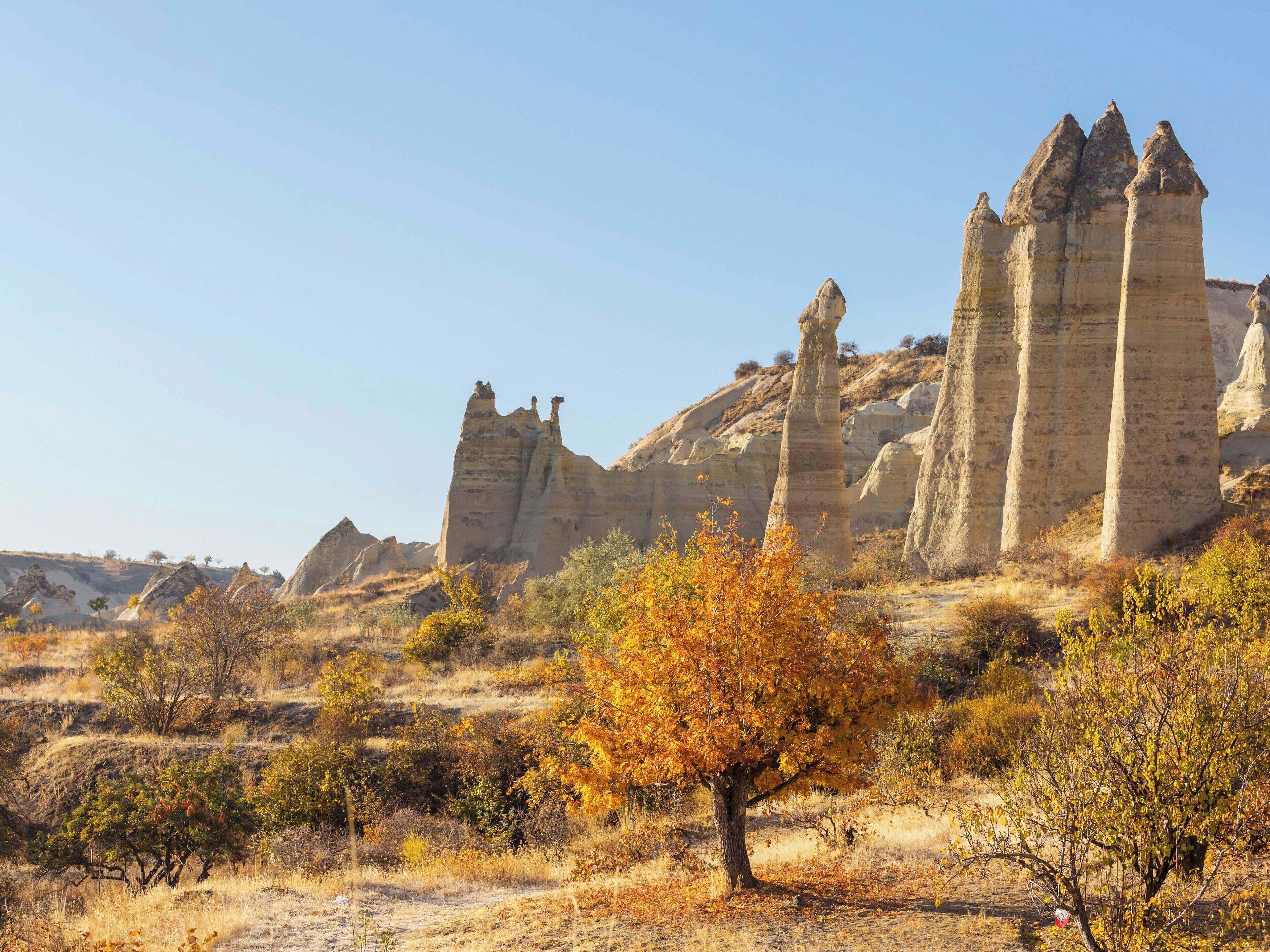 Paisaje desértico con formaciones rocosas destacadas y vegetación escasa.