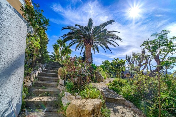 Property grounds - Villa Buenavista in Javea Granadella (Xàbia)