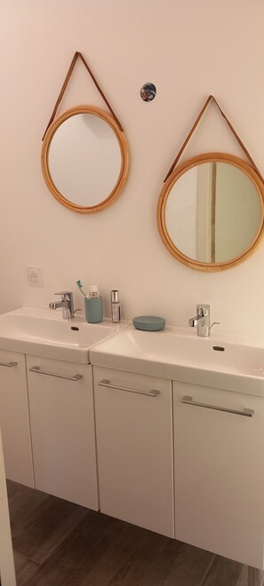 Shower, hair dryer, soap, toilet paper