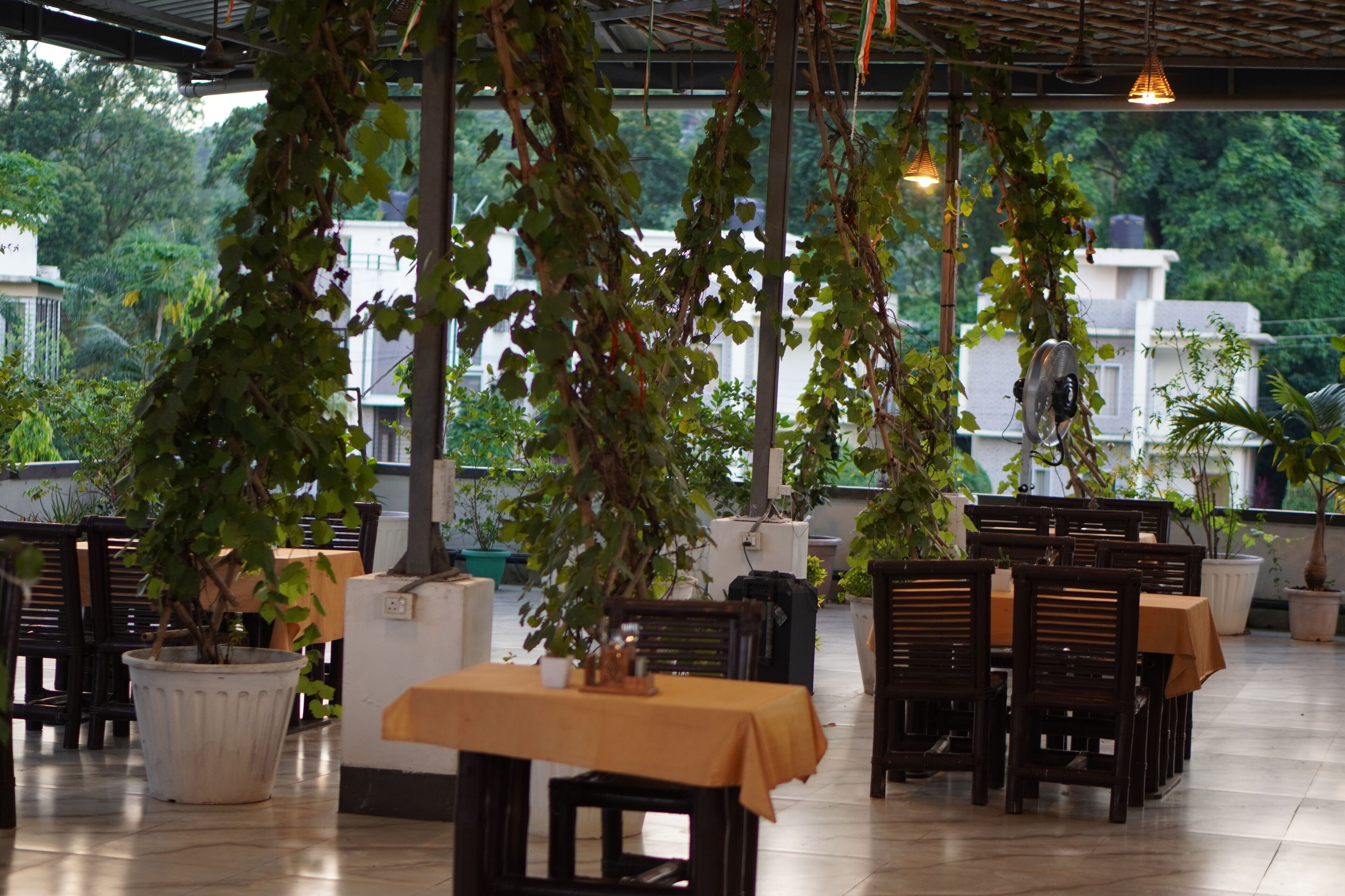 Un área de comedor al aire libre con mesas y sillas, rodeada de plantas en macetas y árboles.