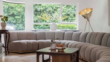 Smart TV, fireplace, books