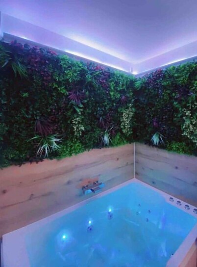 Le Parc, Logement de Charme Avec SPA Privatif