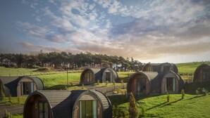 A series of dome-shaped cabins with large windows, set in a grassy field with a forest in the background.