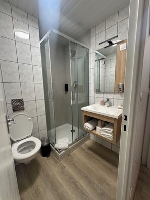 Shower, hair dryer, towels, soap - NOROTEL (Brumath)