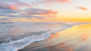 Unclassified image, 4 of 63, button - "Escape to Palm SunDaze, where the soothing ocean breeze melts your cares away, embracing you in the tranquility of coastal living. (Port Aransas)