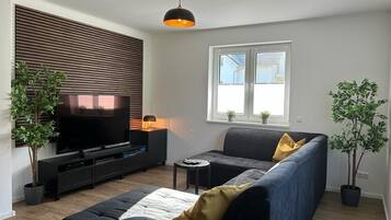 Smart-TV, DVD-Player