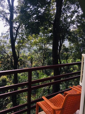 Terrace/patio - Wayand Whistling Woods  (Vythiri)