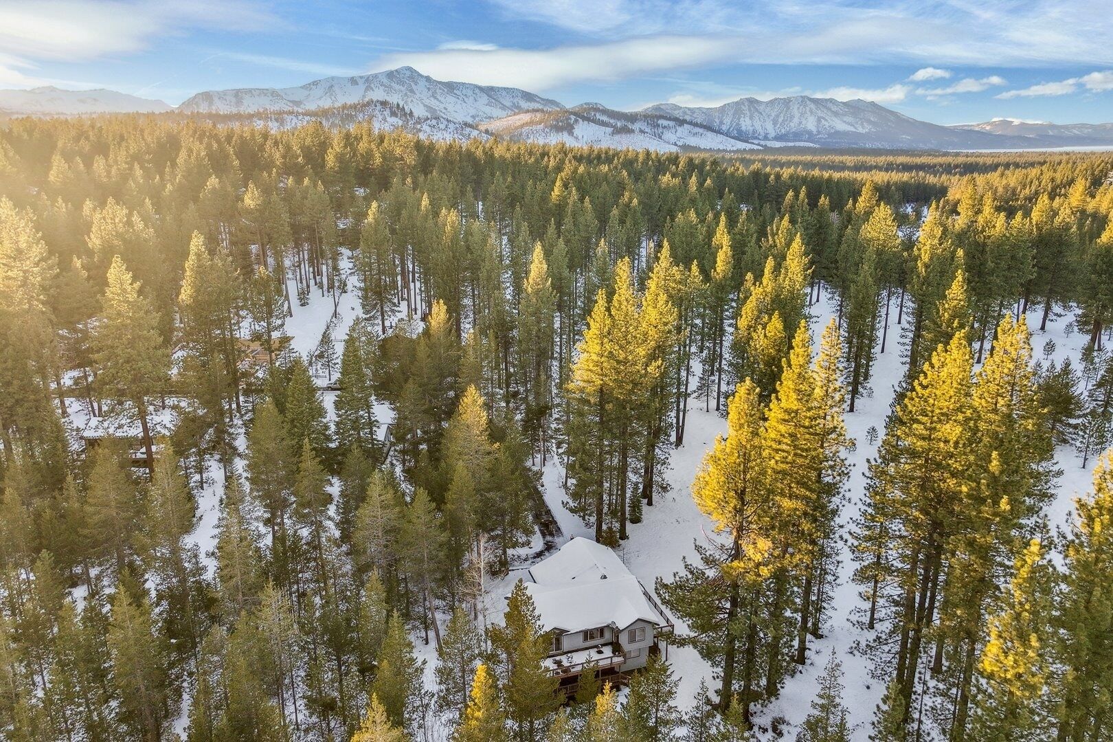 En stuga omgiven av en tät skog, med snötäckt mark och berg i bakgrunden.