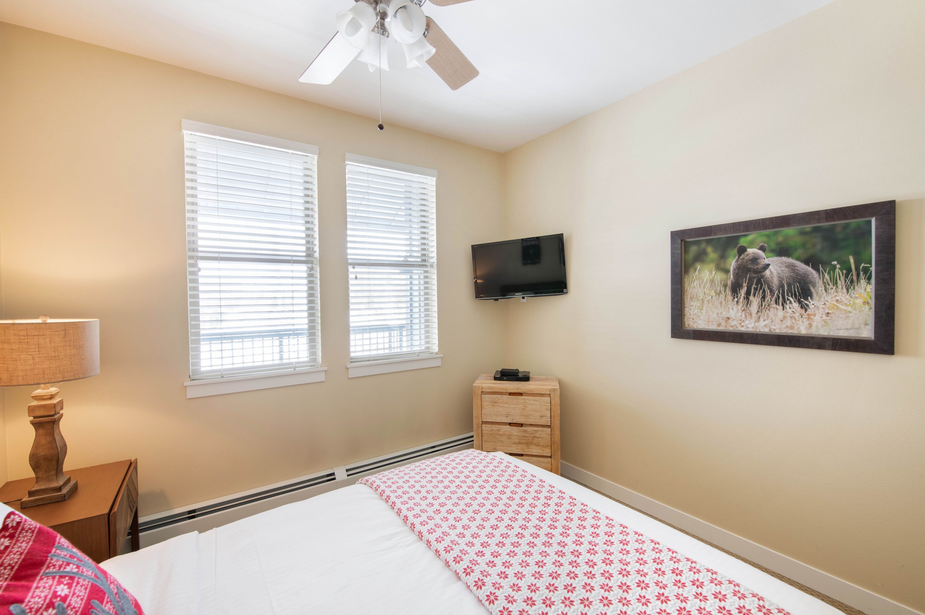 A bedroom with a bed, a ceiling fan, a TV, a bedside table with a lamp, and a framed picture on the wall.