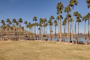 House (4 Bedrooms) | Interior - Outdoor Oasis: Spacious Goodyear Getaway! (Goodyear)