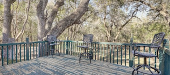 Peaceful Mcalpin Home on 5 Acres w/ Private Deck!