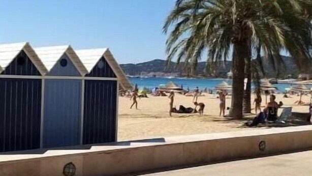 A beach with palm trees, a clear sky, and a row of blue beach huts. - VUE MER Studio Soigné Clim 5 min Plage (Le Lavandou)