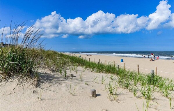Accommodatie ligt op het strand