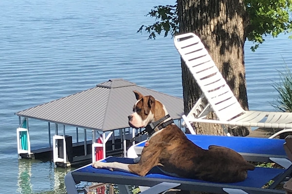 “Diesel” Enjoying The View