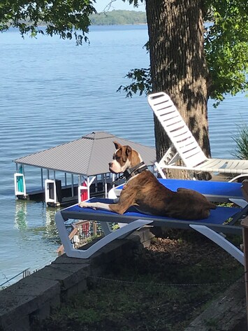 “Diesel” Enjoying The View