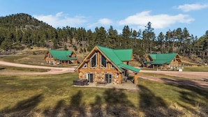 A cabin with a green roof, surrounded by a grassy field and a small body of water.