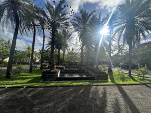 Property grounds - Villa de Charme Tropicale Située à 500 m de la Plage de Pereybère (Grand Baie)