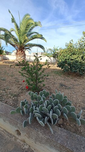 Villa Rosetta in Agrigento, near the beaches and the Valley of the Temples.