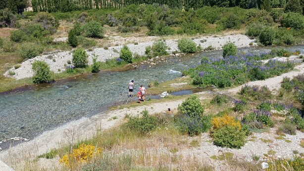 Een rivier met helder water, omringd door groen en bloemen.