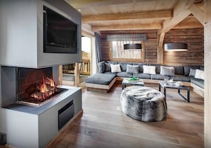 TV, fireplace, video games, DVD player
