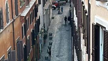 Utsikt fra overnattingsstedet