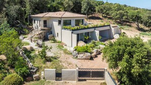 A modern house with a flat roof, surrounded by a garden with large rocks and trees. - Villa A Trinita: Private paradise, infinity pool, gym and games room (Porto-Vecchio)