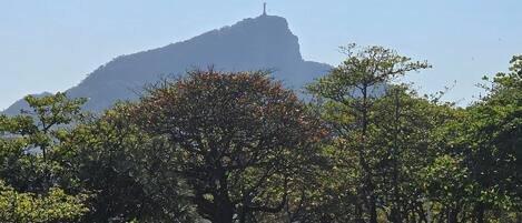 A street view with a prominent hill in the background, trees lining the road, and a sign with the word "JESUS".