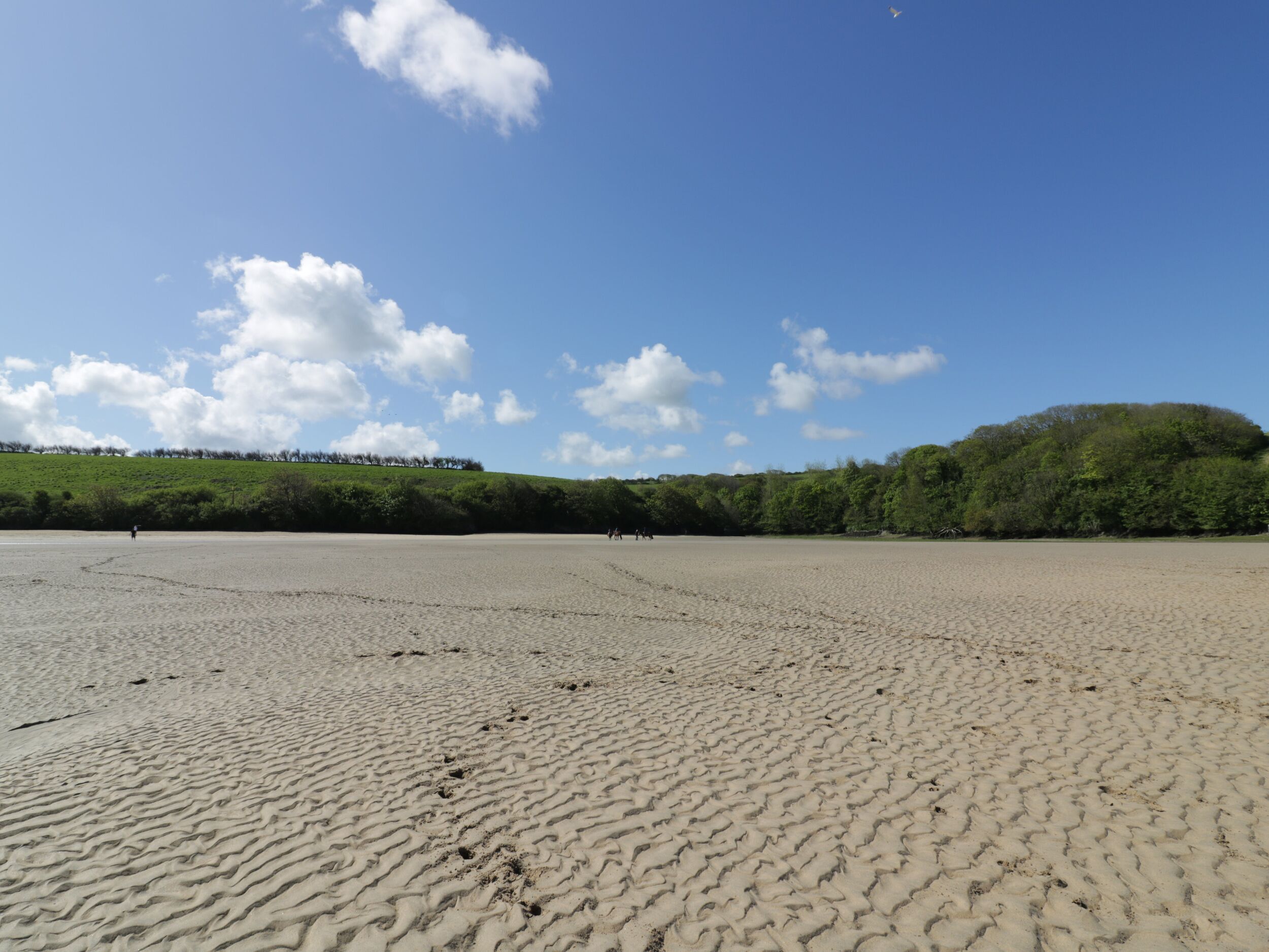 A wide sandy beach with footprints, a clear blue sky, and a green hill in the background.