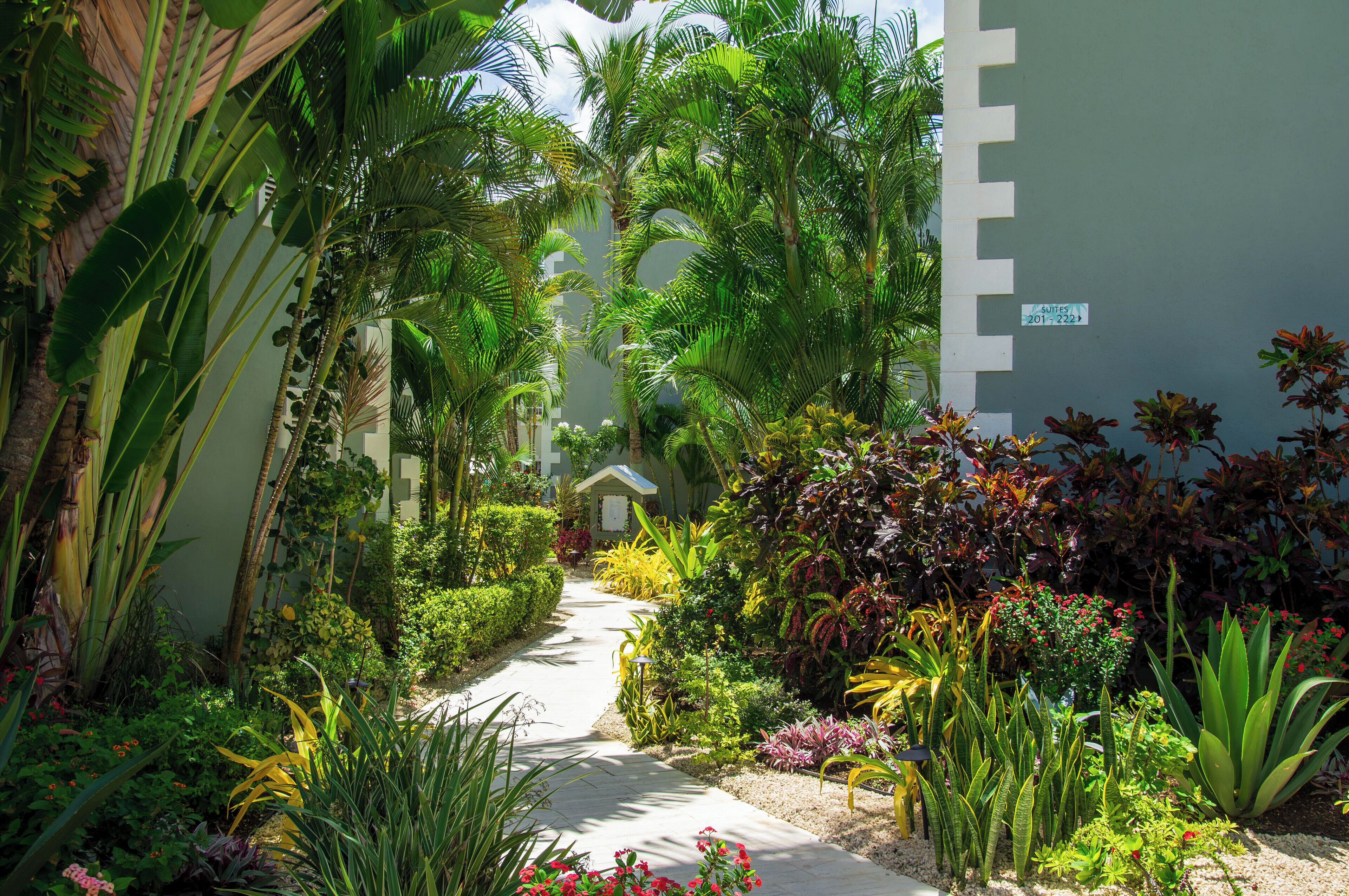 A pathway flanked by lush tropical plants and a building with a sign indicating room numbers.