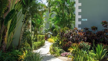 A pathway flanked by lush tropical plants and a building with a sign indicating room numbers.