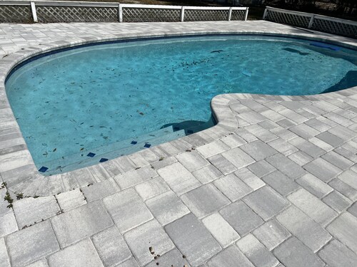 4 Bedroom House with a Pool! 15 minutes from the TPA Airport!