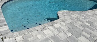 4 Bedroom House with a Pool! 15 minutes from the TPA Airport!