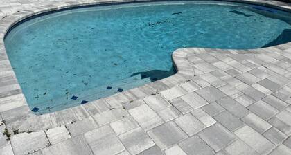 4 Bedroom House with a Pool! 15 minutes from the TPA Airport!