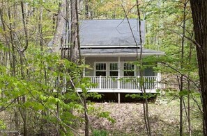 Exterior - Cheerful 3-brd, 2 full bth cottage with DNR launch lake access on Chippewa Lake
 (Chippewa Lake)