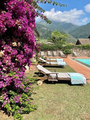 Outdoor pool - Pool Villa in Tuscany. 10 bedrooms A/C Wi-fi Garage - Villa Melangola (Camaiore)