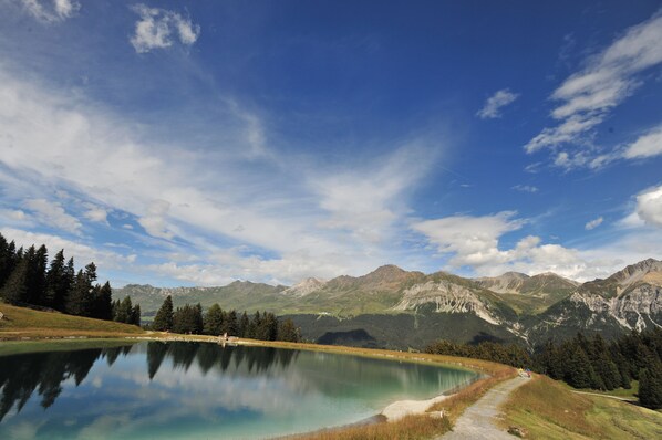 Un lac paisible, avec des montagnes en arrière-plan, entouré d’arbres et sous un ciel dégagé.