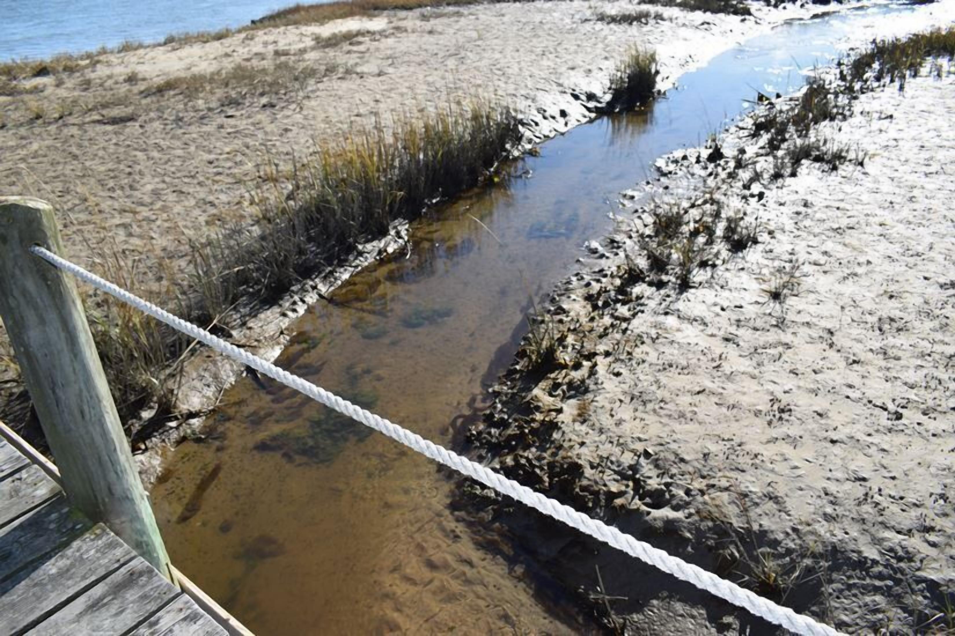 Une promenade en bois mène à une étendue d’eau boueuse où la végétation est rare.